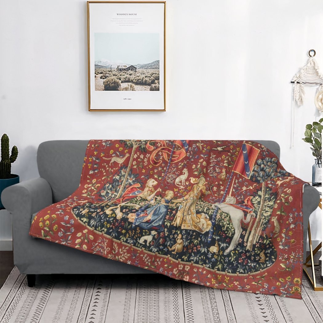 Canapé gris dans un salon avec une couverture rouge à motifs de licorne et autres personnages. Au dessus du canapé se trouve un tableau accroché au mur.