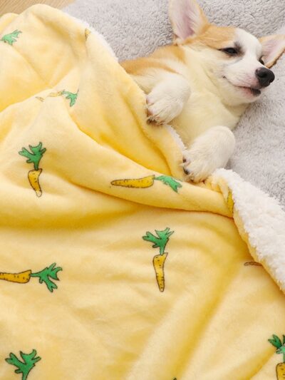 On voit un petit chien roux et blanc qui est allogné dans un canapé et recouvert d'une jolie couverture doublée en polaire jaune avec des motifs carotte.