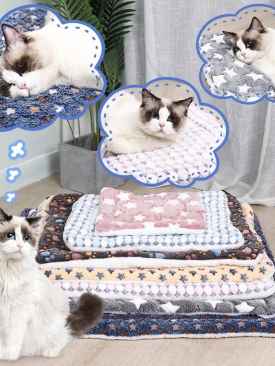 On voit un chat devant un tas de couvertures. Il est blanc et marron et il y a trois bulles au-dessus de sa tête qui le représentent en train de dormir ou de se prélasser sur ces couvertures.