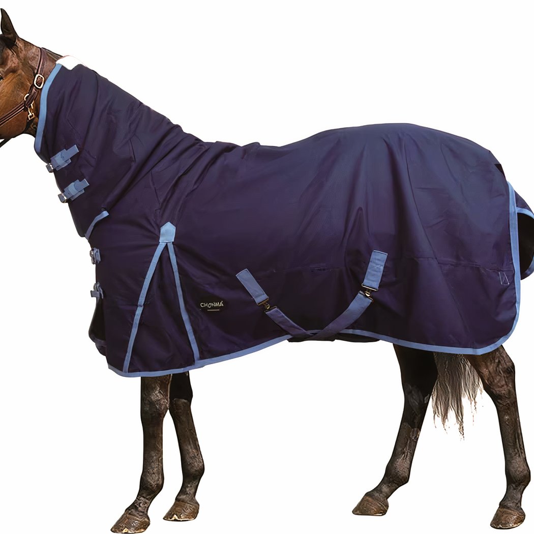 Couverture de cheval épaisse en coton de couleur bleu.