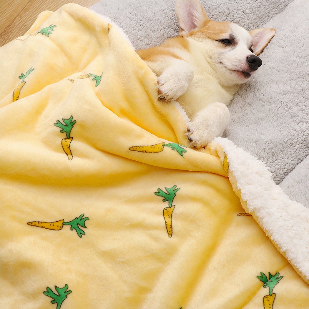On voit un petit chien roux et blanc qui est allogné dans un canapé et recouvert d'une jolie couverture doublée en polaire jaune avec des motifs carotte.