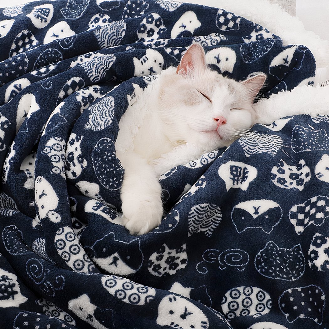 On voit un chat blanc endormi dans une une couverture molletonnée noir avec des motifs têtes de chat blanc.