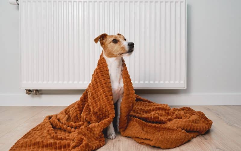 Les meilleures marques de couvertures sur le marché Tout savoir sur les couvertures les meilleures marques de couvertures sur le marche 7